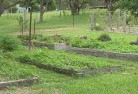Green Gully NSWsustainable-landscaping-19.jpg; ?>