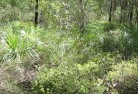 Green Gully NSWsustainable-landscaping-21.jpg; ?>